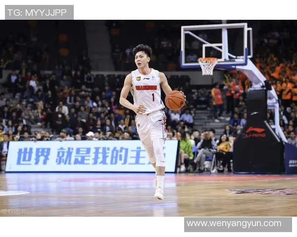 合肥明星篮球队实力分析与发展前景探讨